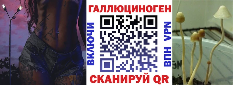 Галлюциногенные грибы Psilocybe  Котлас 